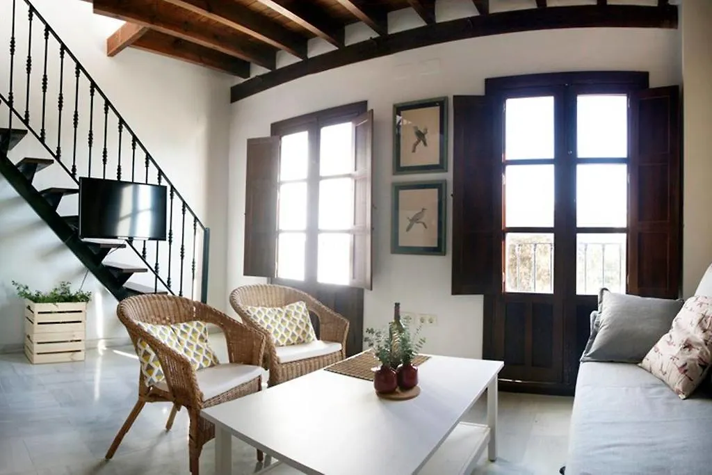 Magnifico Atico En Pleno Barrio De Triana Apartment Seville
