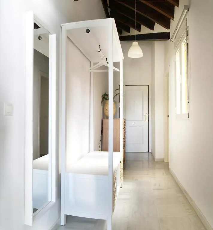Magnifico Atico En Pleno Barrio De Triana Apartment Seville Spain