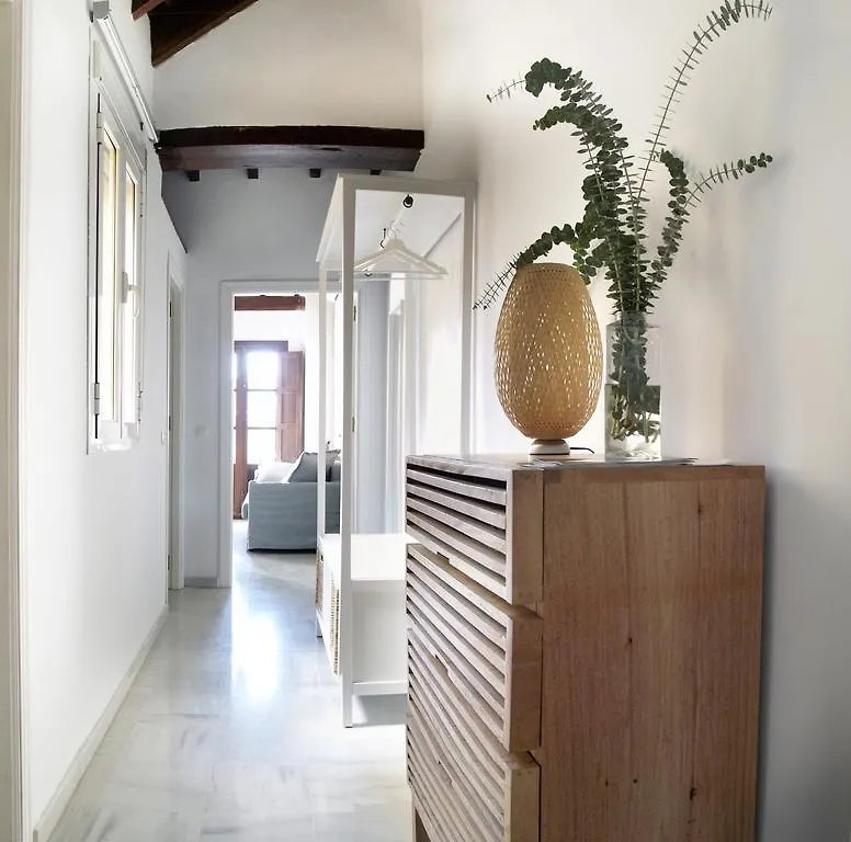 Magnifico Atico En Pleno Barrio De Triana Apartment Seville