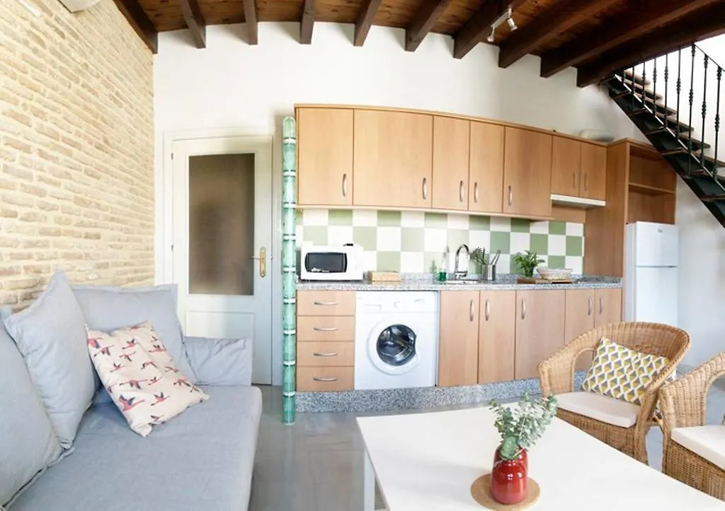 Magnifico Atico En Pleno Barrio De Triana Apartment Seville Spain